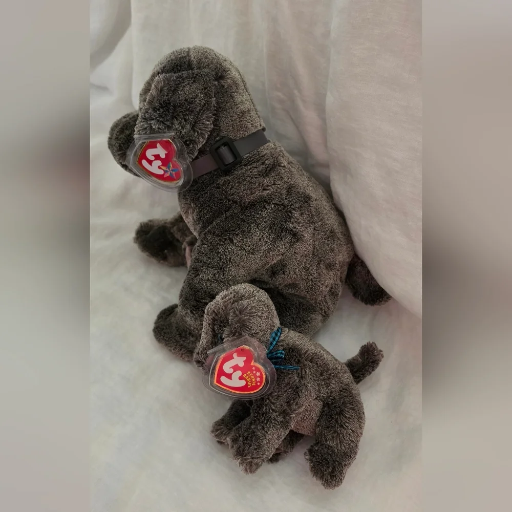 NWT-Ty Beanie Buddy & Beanie Baby set Frisbee the Dog - Picture 2 of 4